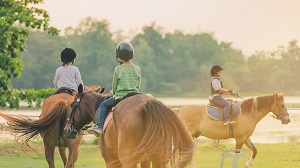 Horse Riding Lessons