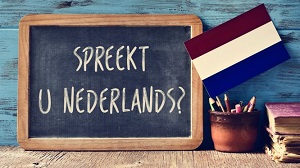 Dutch Lessons