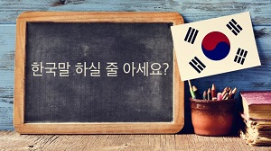 Korean Lessons