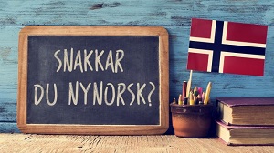 Norwegian Lessons