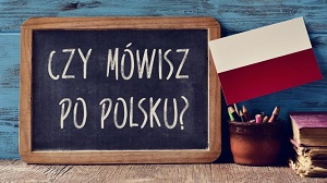 Polish Lessons