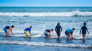 Surfing Lessons