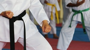 Taekwondo Lesson